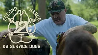 Magpul - Second Chance K9