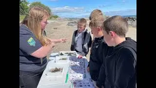 Bio Blitz at Skippingstone Beach