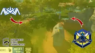 BLUEBEES VS NOVA XQF | PMGC W2 D1