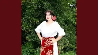 Nu Iubeste Un Baiat