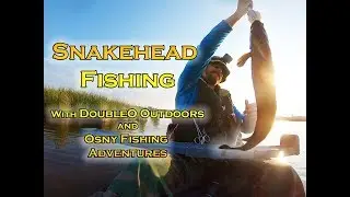 Snakehead Fishing with Obsession Outdoors and Osny Fishing Adventures