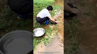 The Most Unique Way to Catch Fish 😱 #shorts #fishing #shortvideo