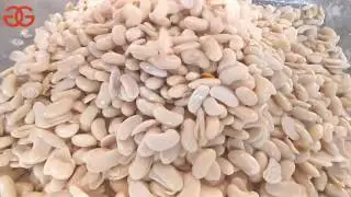 Video Of The White Kidney Bean Wet Peeling Machine|Chickpea Bean Peeling Machine