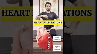 Best Exercise for Heart Palpitations Relief #shorts #trending #exercise