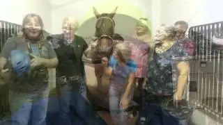 The Meadows Racetrack & Casino Tour - Three Rivers Carriage Club