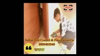 Termite Treatment shorts Termite Control Processor,Indian Pest Control & Fumigation Co. Dimak Upchar