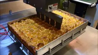Fruit Cake Slicing Machine - Cutting Traybakes - Cheersonic