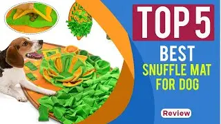 The 5 Best Snuffle Mat for Dog Reviews in 2025