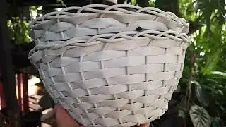 Replantes de filodendro brasil e philodendron rio 💚 um mais lindo que o outro 🥰