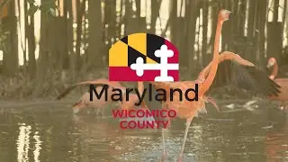 Wicomico County, Maryland: Open For Families