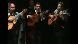 Tuna Filosofía y Letras de Málaga. Flor de ausencia.