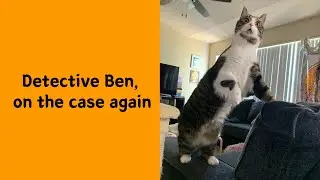 50 Animals So Awkward They Accidentally Became Internet Legends