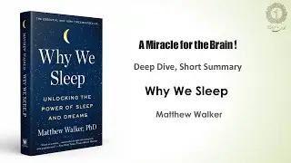 Por qu&eacute; dormimos &ndash; Matthew Walker | Resumen y an&aacute;lisis profundo del poder del sue&ntilde;o
