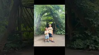 A day at zoo🦍🦁🐅 #bronxzoo #zoo #nyc #familytime #newyork #wildlife #wildanimals #usa