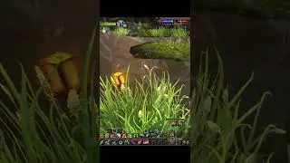 ONE SHOT-ish Dark Ranger MM Hunter #worldofwarcraft  #gaming  #pvp