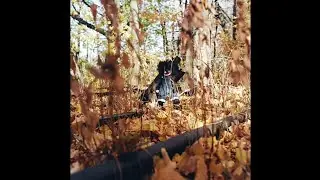 Billy Woods - Lead Paint Test Reaction 