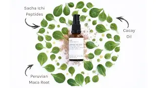 Evolve Organic Beauty | Superfood 360 Serum