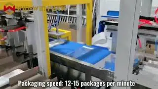 WIN-WIN PACK Automatic Bagging Machine for Storage Bags | 12&ndash;15 Packages/Min
