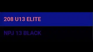 208 U13 ELITE vs NPJ 13 BLACK