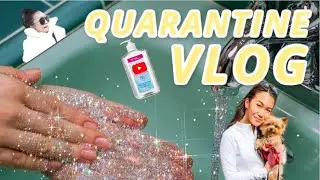 Quarantine Vlog | Dog Walking & WFH | Tammykayly