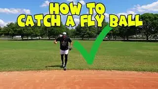 Catch a Fly Ball Like a Pro