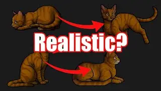 How Long Would Warrior Cats Survive In Real Life? | Analysis