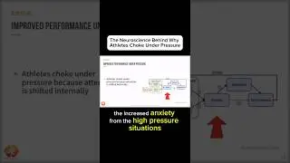 The Neuroscience Behind Why Athletes Choke Under Pressure (with support from scientific research) 🧠