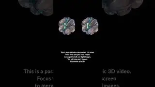 This is  a 3D video. Unfocus your eyes to merge the 3 images to see the effect #3deffects #3dvideo