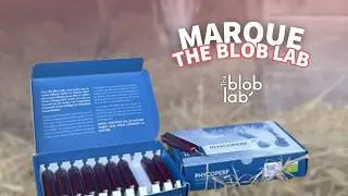 #ZOOMMARQUE ✨ Nouvelle marque chez Equi-Bride : The Blob Lab | Equi-Bride Sellerie