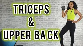Triceps & Back