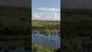 Everything in Meta, Colombia!