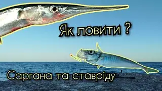 Риболовля на саргана та ставріду в Одесі.
