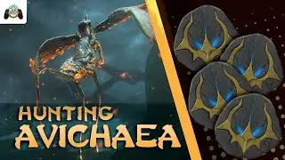 Warframe || How to get Common Avichaea Tags