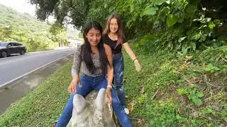 Esculturas Gigantes de Animales en Planes De Rendero #elsalvador