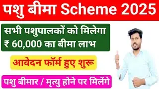 पशु बीमा कैसे करें / pashudhan Insurance Yojana 2025 / pashu insurance kaise karen / pashupalan loan