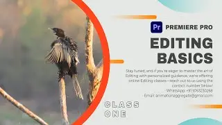 Adobe Premiere Pro | Travel, Landscape, and Wildlife Videographers & Photographers | Getting Started