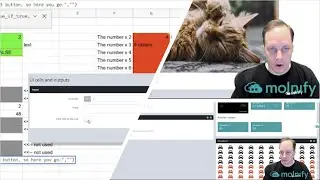 How to change outputs and UI-cells | Molnify