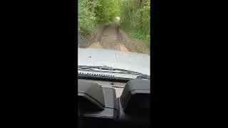 sortir son bois de chauffage de la foret