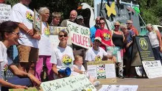 Save Minster Marshes & Pegwell Bay - Register Day protest