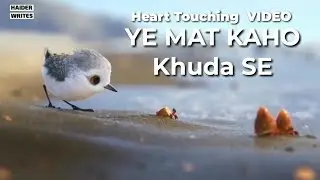 Mera Khuda Bara Hai🌹|| Beautiful Little Bird Video 🐥 || Whatsapp Status🌹|| Islamic Sad Videos🌹