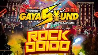 GAYA SOUND - ROCK DOIDO 2025 - DJ CARLINHOS PRESS&Atilde;O