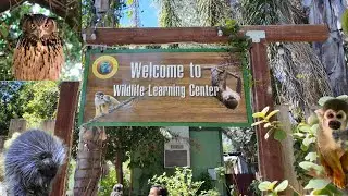 We explore the Wild Life Learning Center in Sylmar, CA. #animalrescue #wildlife  #animals