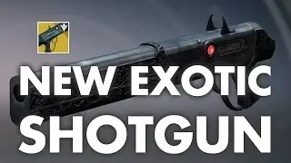 Destiny - THE CHAPERONE SHOTGUN