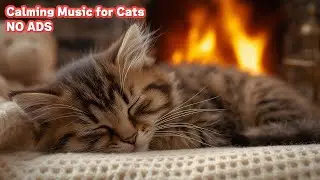 Music to Let Cats Sleep 🎵 12 Hours No Ads - Peaceful Cat Sleeping Music & Purring / vol.33