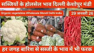 सब्जियों के थोक भाव 29 January 26 | Wholsale vegetable Market Keshopur Mandi Delhi #vegetables