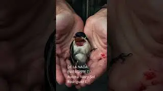DE LA NADA EMERG&Iacute;STE T&Uacute; Autora: Mary Sol Rodr&iacute;guez E #amor #emociones #sentimientos #pareja #tuyyo