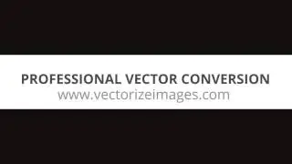 Online vectorization
