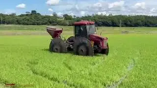 Aplicações no Arroz 🌾