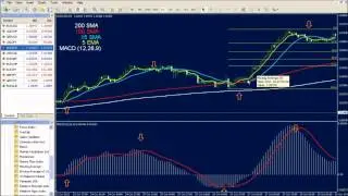 Learn trading with MACD, Fibonacci and Moving Average