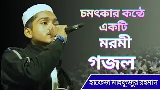 চমৎকার একটি মরমি গজল, মাদ্রাসায়ে এমদাদিয়ার ছাত্র হাফেজ মাহফুজুর রহমান। @bayanunnoor 